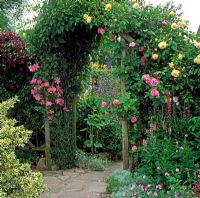 Wooden arch adorned with scented Rosa and Clematis - Grafton Cottage, Staffordshire NGS