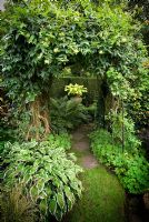 Arch with Hosta 'Sun King', Hosta 'Shade Fanfare' and Lonicera japonica 'Halls Prolific' - Southlands