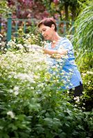 Woman deadheading flowers in garden in August