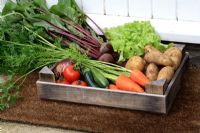 Box of freshly picked organic vegetables on doorstep - Carrots, potatoes, beetroot, tomatoes, courgettes, onions and lettuce