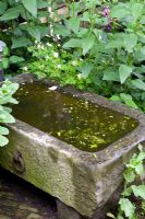 Small stone sink used as water feature