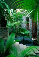 Tropical style planting in small courtyard garden with stone steps leading to gravel bed with Cycad palm - Bali