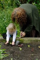 Grandmother and grandaughter planting Lettuce seedlings