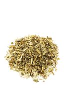 Artemisia abrotanum - Southernwood herb 