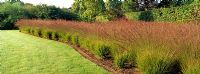 The drifts of Grasses Garden planted with Molinia caerulea subsp. Caerulea within the walled garden at Scampston Hall designed by Piet Oudolf