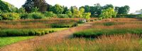 The drifts of Grasses Garden at Scampston Hall designed by Piet Oudolf
