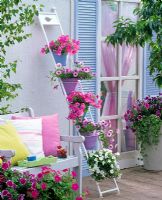 Mixed Petunias in cascading painted metal plant stand on patio 