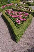 Beds with Geraniums and edged with Buxus