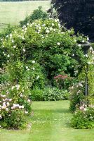 Rose arbour with Rosa 'New Dawn' a climbing rose and Rosa 'Irene Watts' at the foot of the arbour's four corners, with a mix of Astrantias - Ousden House.