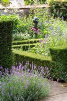 Taxus hedging surrounding mixed flowerbeds and figurative statue in country garden, Lavandula in foreground 