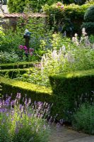 Taxus and Buxus hedging surrounding mixed flowerbeds and figurative statue in country garden, Lavandula in foreground 