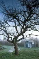 Rustic seat beneath tree and wendyhouse in winter - Rolls Farm, Helions, Bumpstead Essex