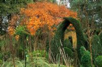 Priona Garden in autumn with sculptural topiary inspired by Henry Moore