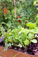 Mixed vegetables growing in a raised bed including tomatoes, lavender and lettuce