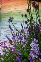 Cold colour border with Allium sphaerocephalon, Campanula, Veronica, Agapanthus and colour stained decking - Benecol's Prism Corner Garden - supporting Rainbow Trust - RHS Hampton Court Flower Show 2008