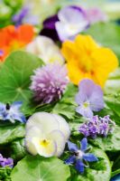 Herb salad of edible flowers and leaves, including borage, nasturtium flowers and leaves, pansy, chives, lavender, parsley and sorrel