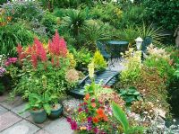 Small exotic garden with patio area, bridge and pond, plants include - Astilbe, Eucomis, Allium and Cordyline
