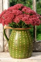 Sedum spectable 'Autumn Joy' - Cut flowers in rustic jug