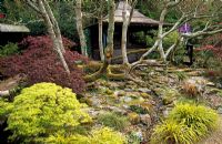 Oak benches around the tea house with Acer palmatum 'Dissectum' Viride group and clumps of Hakonechloa macra 'Aureola' - The Japanese Garden, St Mawgan, Cornwall