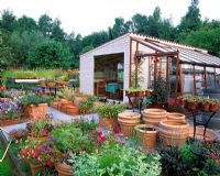 Sales hut with pots and plants for sale at the Silene nursery in Belgium