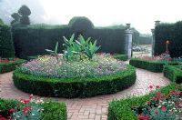 The Brick Garden with box edged beds.  Central bed contains Canna 'Musifolia' and Canna 'La France'. Outer beds contain Canna 'Durban', Argyranthemum foeniculaceum and Verbena 'Edith Eddleman'