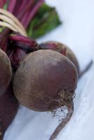 Harvested Beetroot 