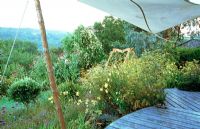 Mix of fennel, evening primrose, ferns, Verbena bonariensis and Stipa gigantea,  viewed from decked area with sail-like awning above