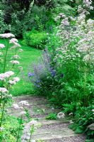 Gravel and timber pathway leading to lawn, mixed flowerbed with Valeriana officinalis - Jardin de Valérianes, France 