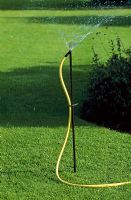 Sprinkler watering the lawn