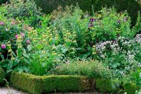 Buxus, Phlomis and Geraniums in mixed border edged with low clipped Buxus hedge - Jardin de Valérianes, France 