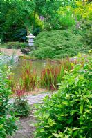 Imperata cylindrica 'Red Baron' in oriental style garden - Jardin de Valérianes, France