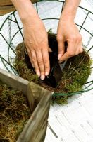 Step 1 of preparing a hanging basket - Layer of moss between bottom and a third of the way up the sides and circle of black polythene in base