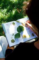 Reference books to identify plants