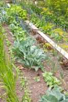 Potager with wooden planks laid down as pathways