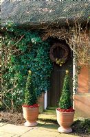 Decorated topiary in containers either side of front door of thatched cottage