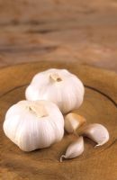 Garlic 'Marco'
