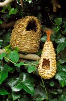Nesting houses for wrens and tits made from seagrass and coconut fibres