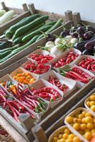 Organically grown vegetables and fruit on display - Chilli peppers, white and purple aubergines, cucumbers and yellow plums