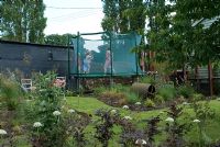 Fagus sylvatica - Copper Beech spiral and Allium multibulbosum, trampoline with safety net in the background - Lucy Redman's School of Garden Design