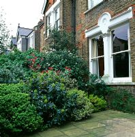Front garden of Victorian terraced house