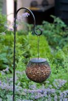 Bird feeder filled with nuts, hanging on a hook