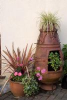 Phormium, Ivy and mixed summer bedding plants containers