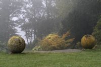 View from terraced lawn of architectural stone balls and steps leading down to autmnal bed with Parrotia persica - Persian Ironwood on a misty morning