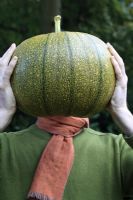 Man holding pumpkin - Cucurbita 'Jack of all Trades'