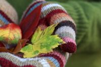 Autumn leaves held in gloved hands