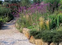 Verbena Bonariensis along gravel path in raised bed of mixed planting - Merriments Garden, Sussex
