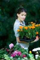 Woman with tray of bedding plants