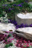 Gravel and rock garden with low growing alpines including Sempervivum, Campanula, Gentiana, Dicentra, Armeria and Leontopodium. 'The Shepherd's Retreat' garden at RHS Hampton Court Flower Show.