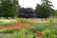 New planting of mixed perennials and ornamental grasses including Monarda, Persicaria amplexicaulis 'Firedance', Echinops, Echinacea and Astilbe - The Floral Prairies and Natural Meadow designed by Piet Oudolf at Trentham Gardens