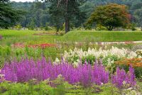 Lythrum virgatum and Persicaria polymorpha in the Floral Prairies and Natural Meadow
designed by Piet Oudolf at Trentham Gardens